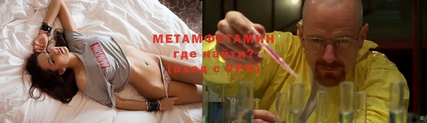 шишки Осинники
