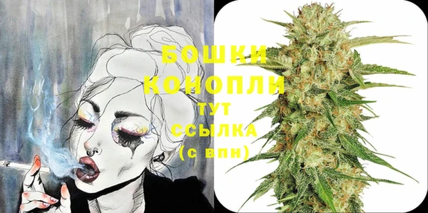 шишки Осинники