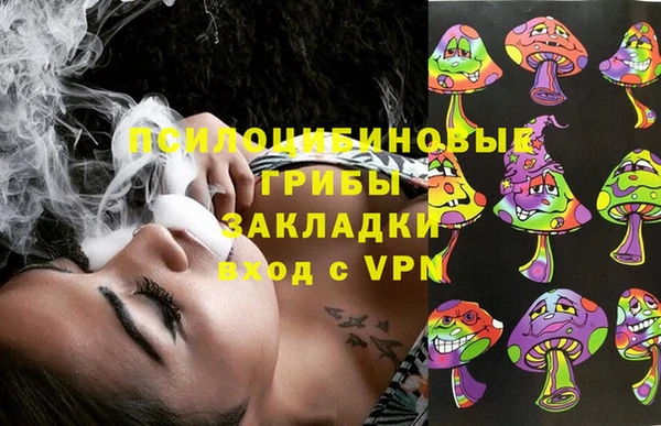 молекула духа Няндома