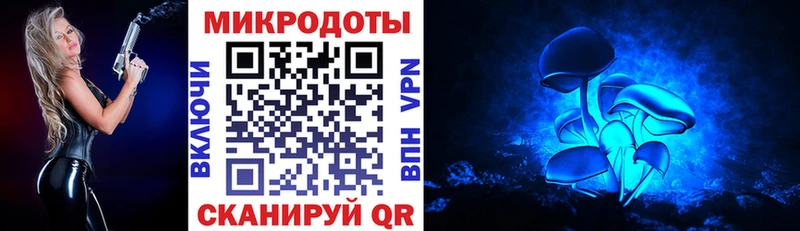 Галлюциногенные грибы Magic Shrooms  Купить закладки  Усть-Катав 